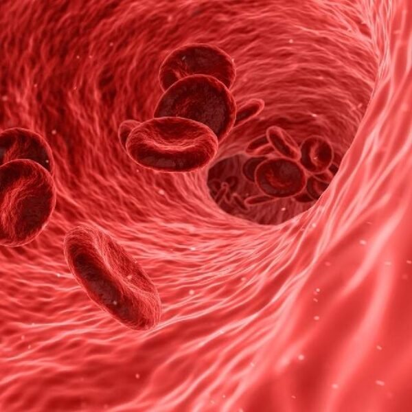 Juvenon Blood Flow-7