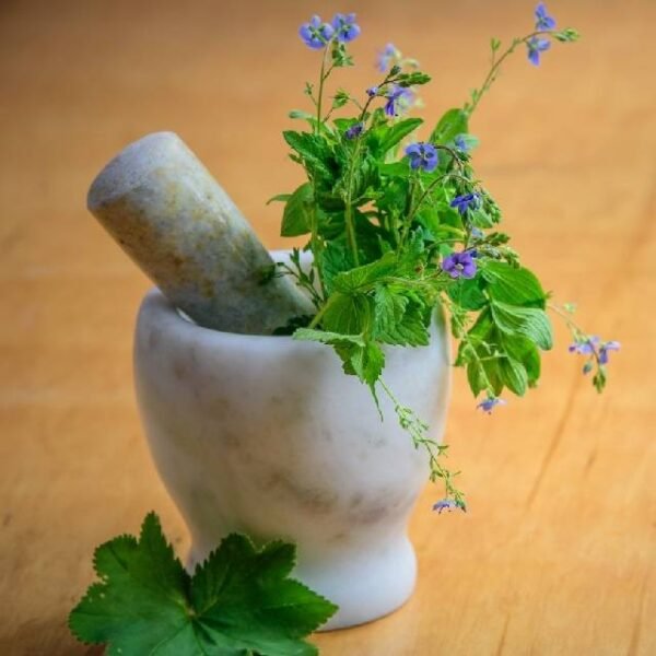 Medicinal Garden Kit