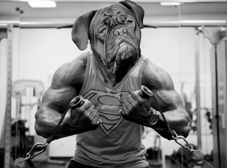 Maximize Your Gym Time: Proven Fitness Tips for Busy Individuals