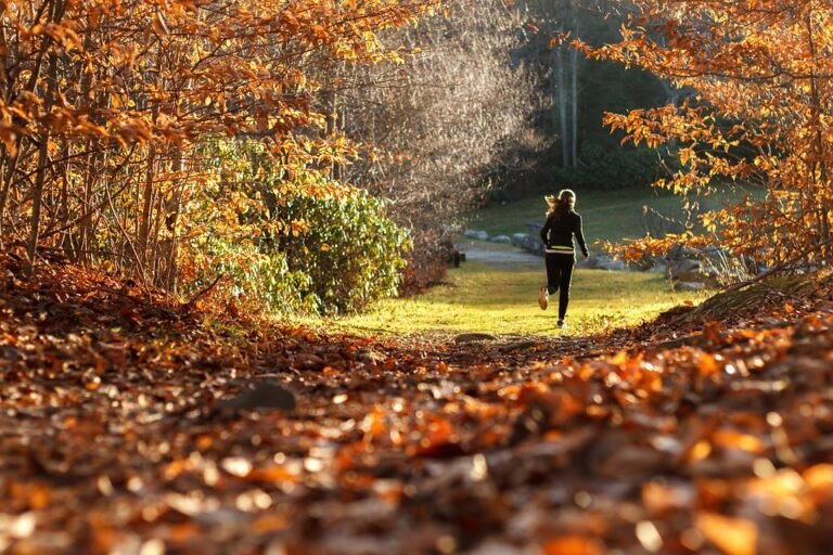 Achieve Your Best Body with These Proven Fitness Tips