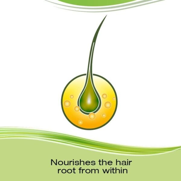 Priorin Hair Growth Vitamins With Biotin - Hair Vitamins To Stimulate Hair Growth For Men And Women, Decrease Of Hair Loss After Washing, Contains Biotin For Hair Growth, 60 Count, 1 Month Supply - Image 7