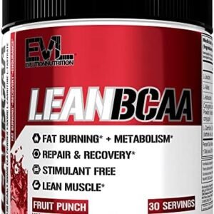 Lean BCAA Powder Workout Drink - Evlution Nutrition BCAA Pre Workout Powder for Long Lasting Energy and Shredded Lean Muscle Mass plus Post Workout Recovery & Body Toning Support - Fruit Punch