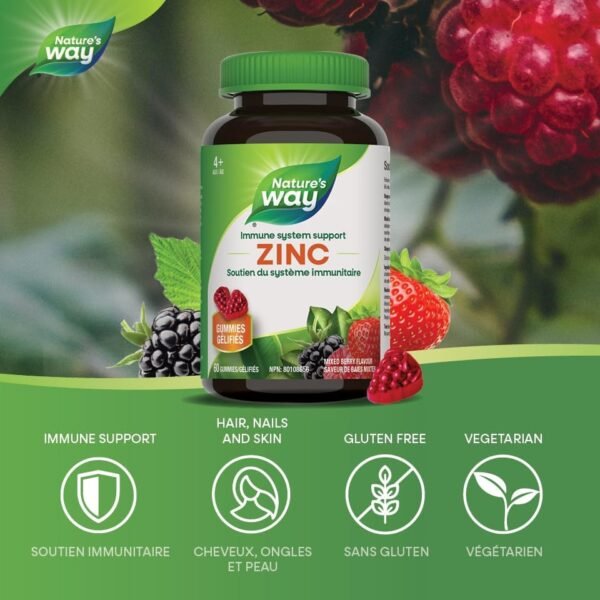 Nature's Way Zinc Gummies - Immune System Support Mineral Supplement – Maintain Healthy Bones, Hair, Skin and Nails - Vegetarian Gummies for Kids 4+ and Adults - Mixed Berry Flavour, 60 Gummies - Image 4