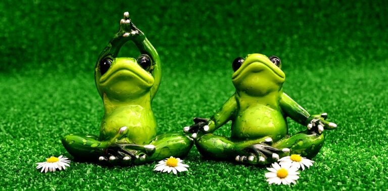 The Dos and Don’ts of Yoga: Expert Tips for a Safe and Effective Practice