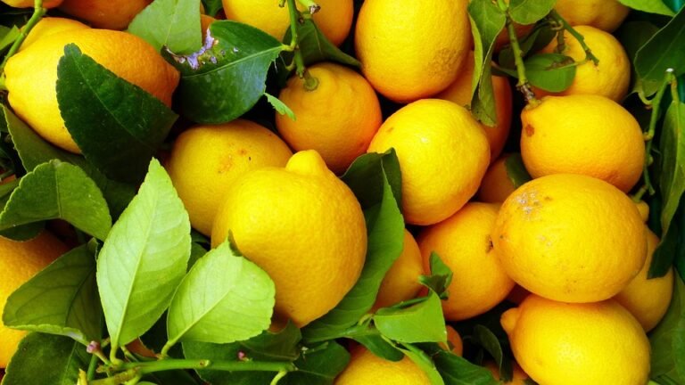 Expert Tips for a Healthier, Happier You