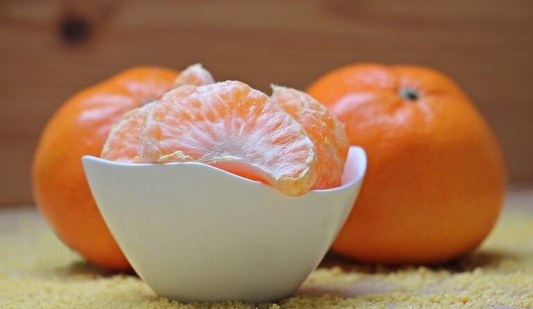 10 Expert Fitness Tips for Maintaining a Healthy Lifestyle
