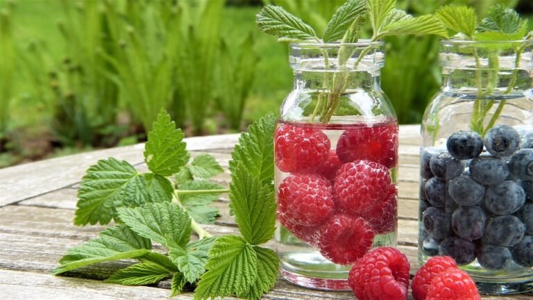 Easy Fitness Tips to Maintain a Healthy Lifestyle