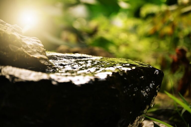 The Ultimate Health and Fitness Tips for a Stronger, Happier You
