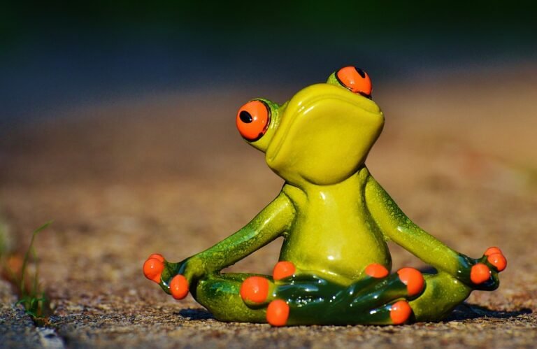 From Crow Pose to Savasana: Expert Tips to Enhance Your Yoga Practice