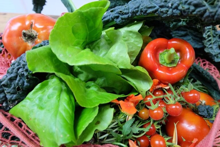 Expert Advice: How to Stay Fit and Healthy During the Winter Months