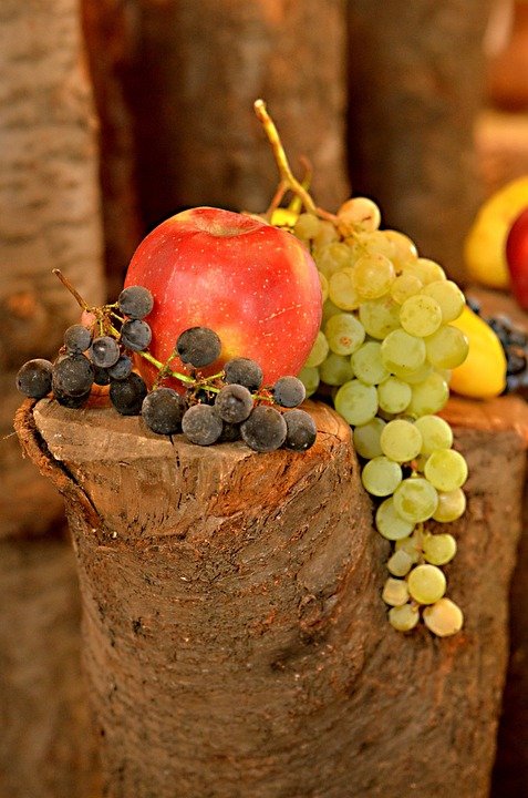 Get Fit and Feel Great: Expert Advice on Health and Fitness