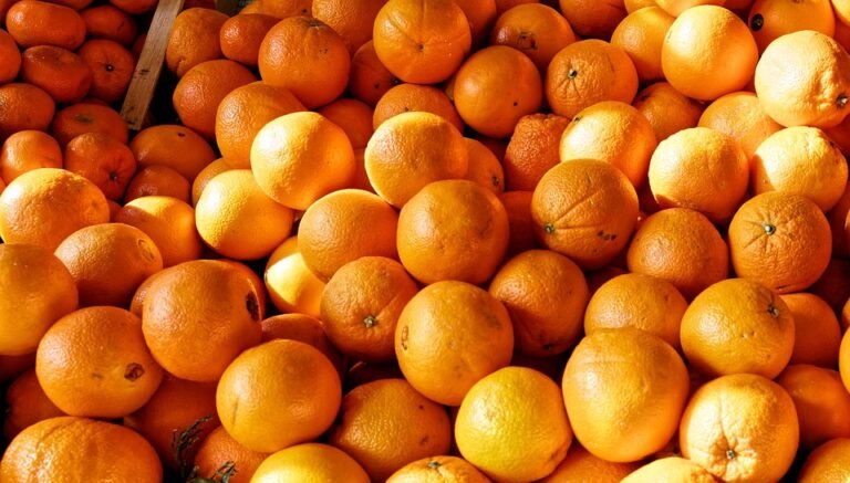 Nutrition Tips for Fueling Your Body for Optimal Performance