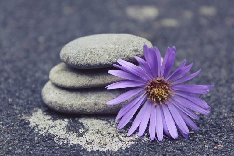 Discover the secrets to success in yoga with these top tips