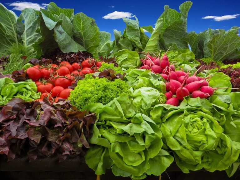 10 Essential Health & Fitness Tips for a Stronger Body and Mind