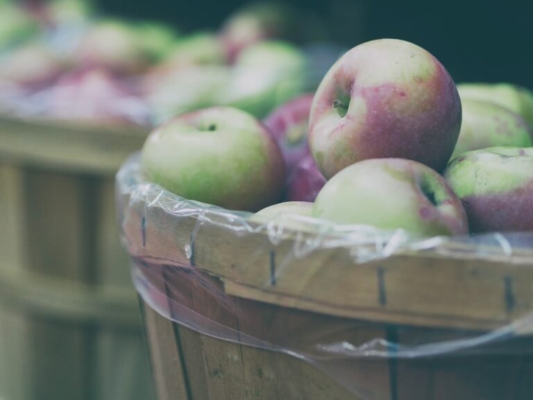 "Healthy Habits for a Lifetime: Health and Fitness Tips for Long-Term Wellness"