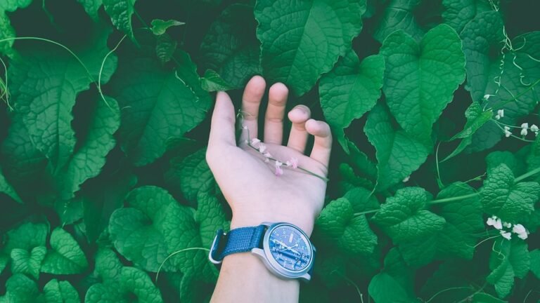 "Unlock Your Full Potential with These Health and Fitness Tips from Experts"