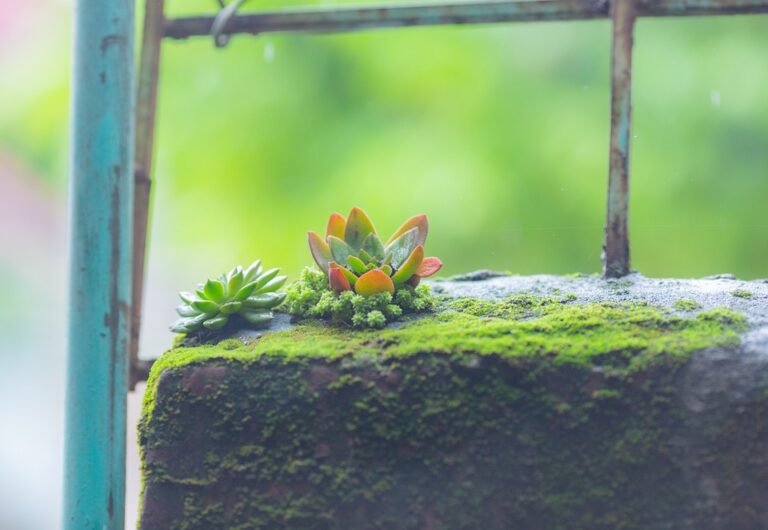"10 Ways to Enhance Your Yoga Practice"