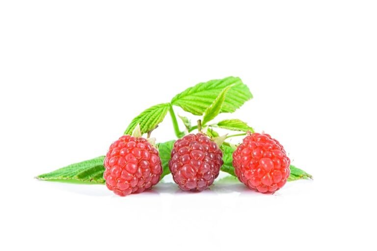 "10 Essential Health and Fitness Tips for a Stronger Body"