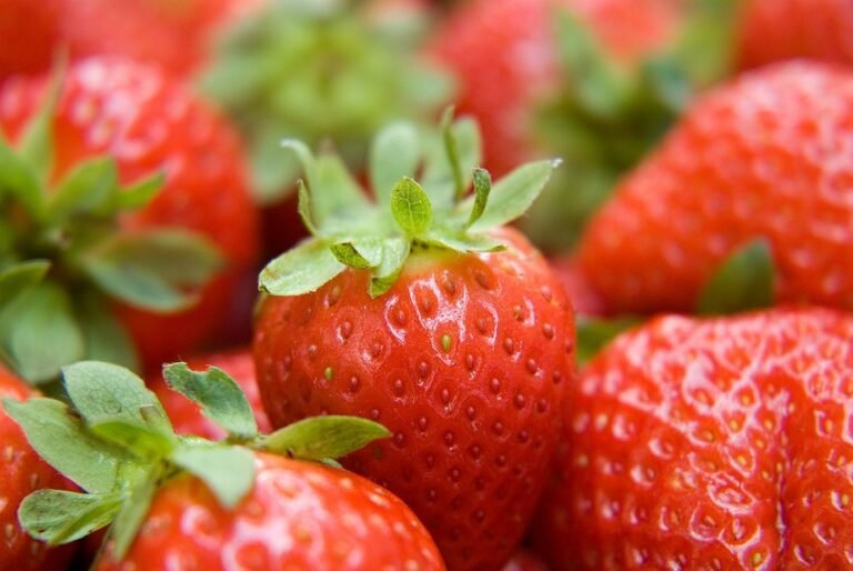 "Reignite Your Workout Routine with These Health & Fitness Tips"