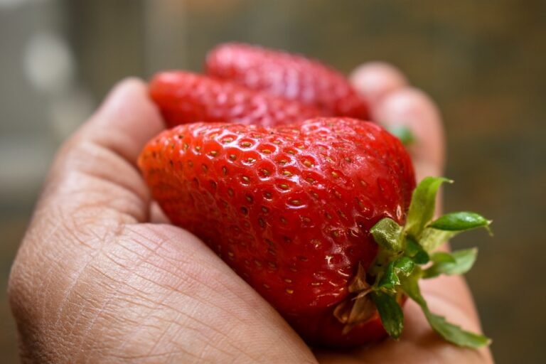 "5 Simple Lifestyle Changes for a Healthier and Fitter You"