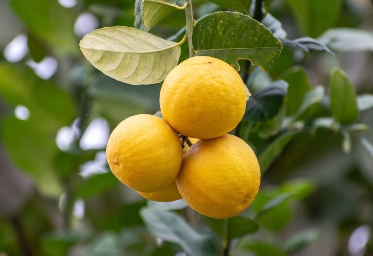 "The Best Foods to Fuel Your Workout and Boost Your Health"